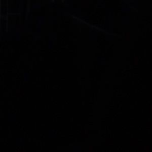 Meet your Posher, Shauna